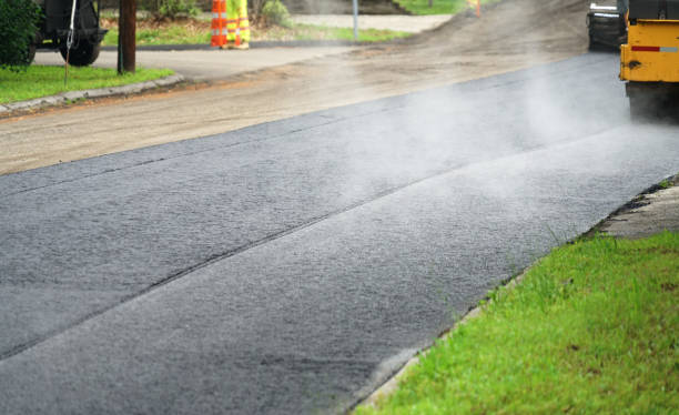 Best Best Driveway Pavers  in Orion, IL